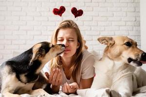 jonge vrouw met haar schattige honden van gemengd ras thuis met plezier en zoenen foto