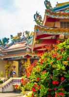 rode bloem van Christusdoorn, gunstige plant op Chinese religieuze locaties foto