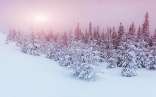 winterlandschap gloeien door zonlicht. dramatisch winters tafereel. foto