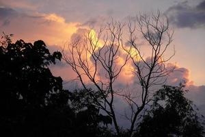 natuurlijke schoonheid eavning time foto