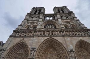 Notre Dame kathedraal in Parijs foto