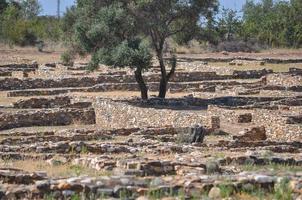 Olynthus-ruïnes in Chalkidiki foto