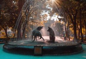 het drinken van coyotes-standbeeld en fontein op het Hidalgo-plein in Coyoacan foto