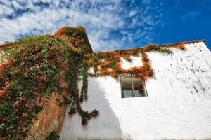 oaxaca, schilderachtige oude stadsstraten en kleurrijke koloniale gebouwen in het historische stadscentrum foto