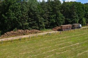 ontbossing en houtkap bovenaanzicht. vrachtwagens halen boomstammen weg. bosbouw industrie. foto