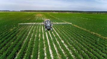 tractor met sproeier behandelt een groen tarweveld foto