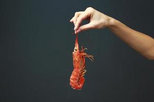 close-up van vrouwelijke hand met verse rauwe rode langoustine, kreeft, garnaal of scampi op zwarte achtergrond. zeevruchten voor een gezond dieet. kopieer ruimte foto