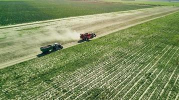 boeren oogsten rode bieten luchtfoto foto