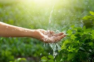 water gieten in de hand van de vrouw op de achtergrond van de natuur, milieukwesties foto