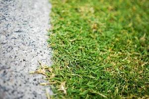 close-up en macro platte stenen stap naast grasveld voor achtergrond. foto