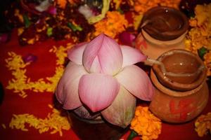 lotusbloem voor Indiase pooja afbeelding foto