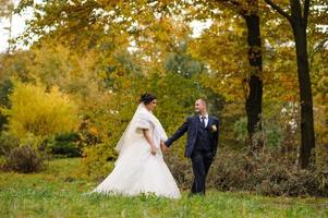 de bruid en bruidegom op de achtergrond van het herfstpark. foto