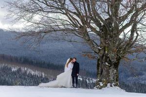 de bruidegom leidt zijn bruid bij de hand naar een eenzame oude beuk. winterse bruiloft. plaats voor een logo. foto