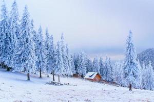 idyllisch huisje in de winter foto