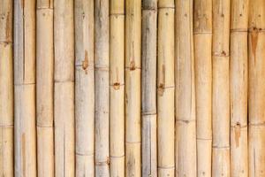bamboe hek achtergrond foto