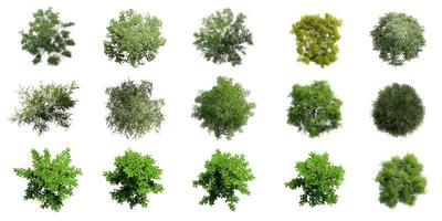 verzameling van 3d bovenaanzicht groene bomen geïsoleerd op een witte achtergrond, gebruik voor visualisatie in architectonisch ontwerp foto