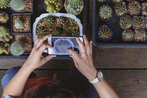 bovenaanzicht van de hand van de vrouw die smartphone gebruikt om een foto te maken van een cactusplant in het tuingebied