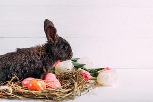 paashaas met paaseieren met tulpen en een nest hooi. positieve lente Pasen samenstelling. foto