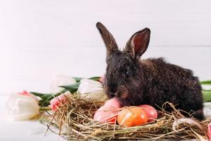 paashaas met paaseieren met tulpen en een nest hooi. positieve lente Pasen samenstelling. foto