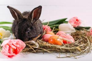 paashaas met paaseieren met tulpen en een nest hooi. positieve lente Pasen samenstelling. foto