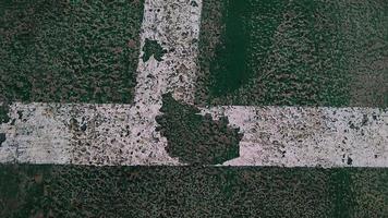 close-up van een gekloofde witte lijn getekend op een groen-gebroken vloer op een openbaar sportveld. foto