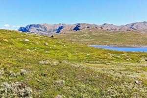 Vavatnmeer en bergen in de zomer in Hemsedal, Buskerud, Noorwegen. foto