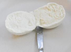 traditionele italiaanse mozzarella di bufala buffelmozzarella chee foto