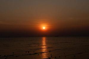 landschap van meeuwen die 's avonds tijdens zonsondergang vliegen. foto