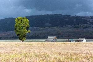 jackson, wyoming, usa, 2013. zicht op mormon row foto