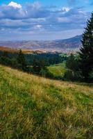 kleurrijk zomerlandschap foto