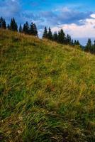 kleurrijk zomerlandschap foto