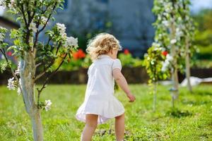 kind bij de bloesembomen foto