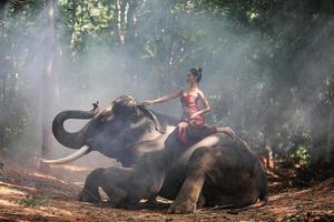 het platteland van thailand, silhouetolifant op de achtergrond van zonsondergang, olifant thai in surin thailand. foto