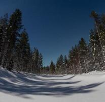 sterren en maanverlicht landschap in finland in de winter foto