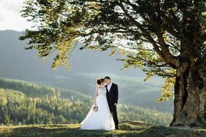 mooie bruid en bruidegom in de bergen foto