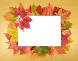 herfstbladeren en vel papier foto