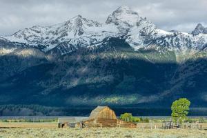 jackson, wyoming, usa, 2013. zicht op mormon row foto