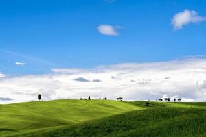 uitzicht op het schilderachtige Toscaanse platteland foto