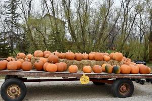 een wagen geladen met oranje pompoenen op een boerenmarkt foto