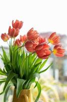 rode tulp bloemen in vaas foto