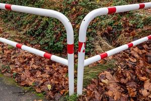 wit en rood hek in het bos gevangen in de herfst foto