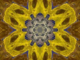 weerspiegeling van kleurrijke bloemen in caleidoscooppatroon. gele en blauwe abstracte achtergrond. gratis foto. foto