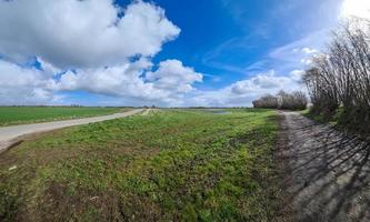 panorama van een Noord-Europees landlandschap met velden en groen gras foto