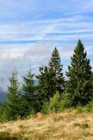 landschappen van de oekraïense karpaten, een reis naar de bergkammen in oekraïne. foto