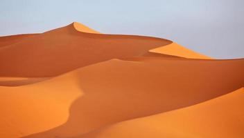 Sahara woestijn foto
