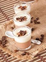 chocolade panna cotta foto