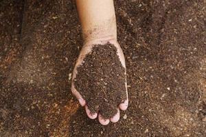 boeren mengen de grond om gewassen te verbouwen. de mineralen leveren die planten nodig hebben, het groeit snel en sterk. foto