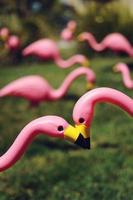 roze gazon flamingo's