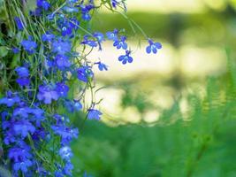 kleine blauwe bloemen op getinte zachtgele en groene achtergrond. delicate lichte bloemenachtergrond met lege ruimte voor tekst foto