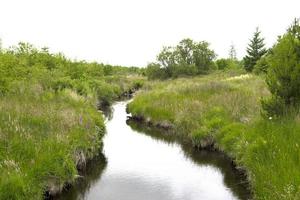 rivier die stroomt in het landschap van het platteland foto